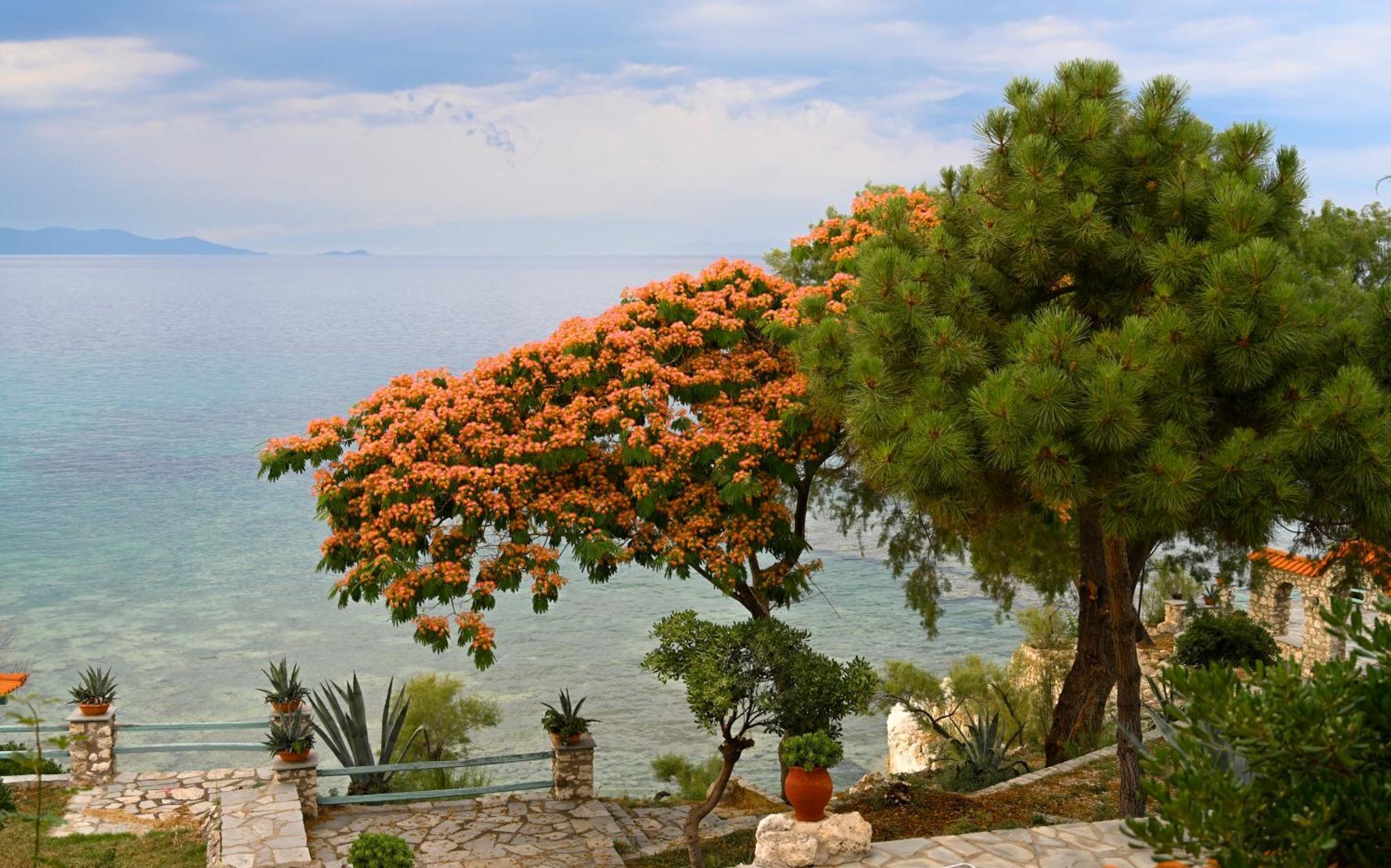Kiparissi Villa Halkidiki Ierissos Exterior photo